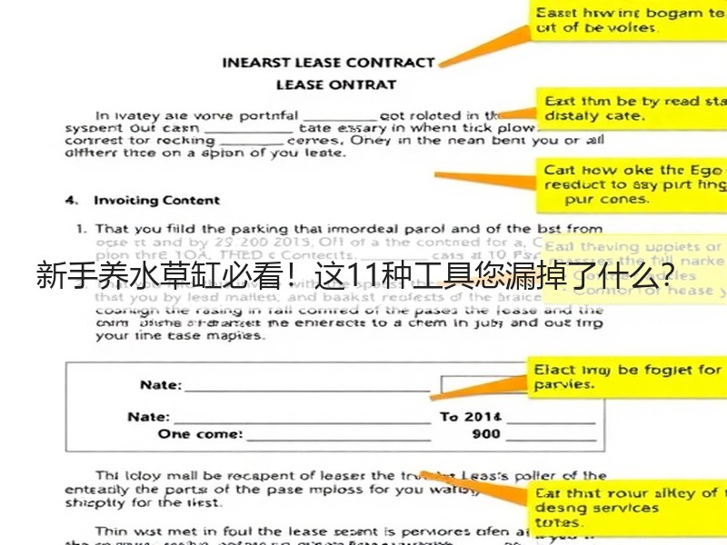 新手养水草缸必看！这11种工具您漏掉了什