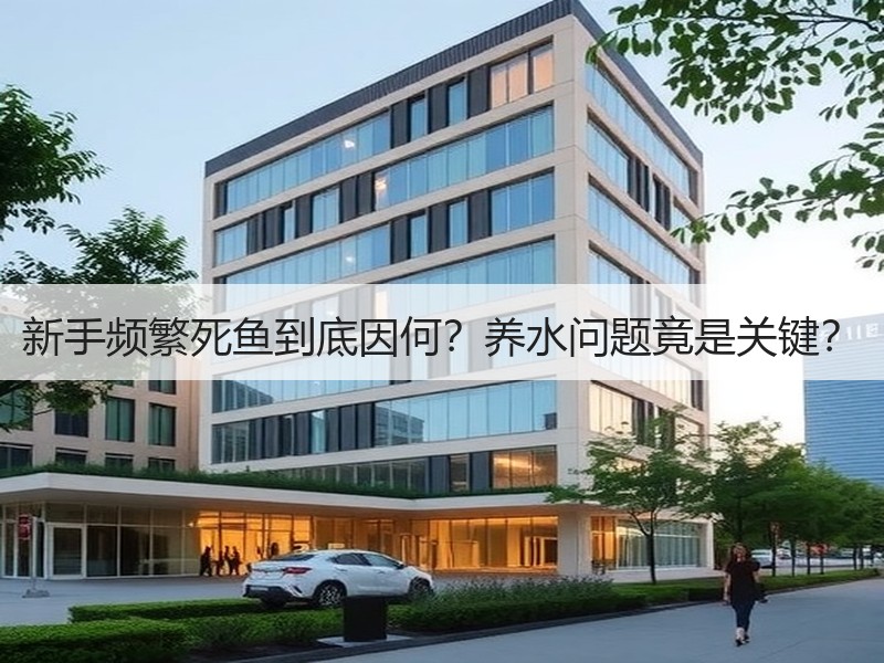 新手频繁死鱼到底因何？养水问题竟是关键？