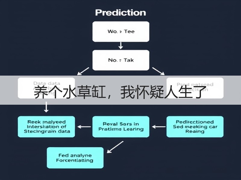 养个水草缸，我怀疑人生了