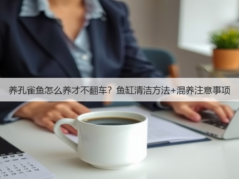 养孔雀鱼怎么养才不翻车？鱼缸清洁方法+混