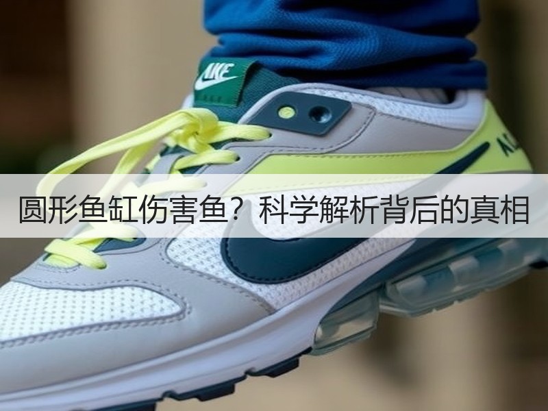 圆形鱼缸伤害鱼？科学解析背后的真相