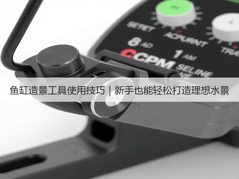 鱼缸造景工具使用技巧｜新手也能轻松打造理