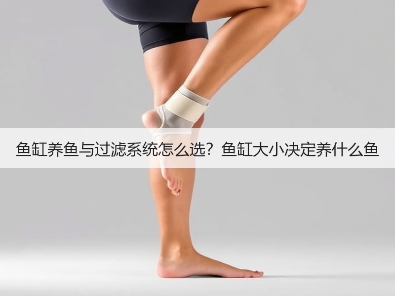 鱼缸养鱼与过滤系统怎么选？鱼缸大小决定养