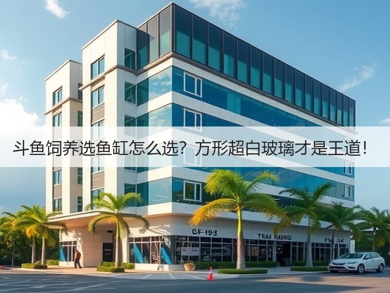 斗鱼饲养选鱼缸怎么选？方形超白玻璃才是王
