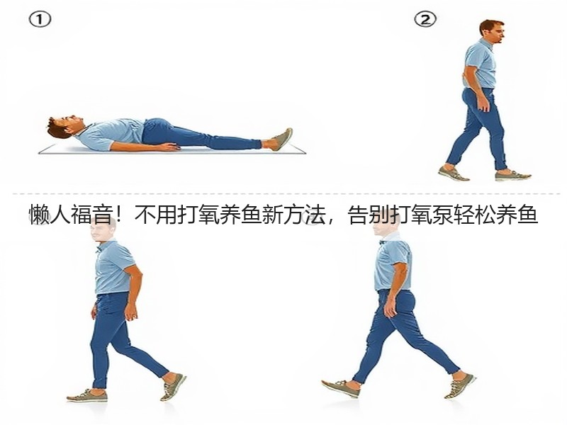 懒人福音！不用打氧养鱼新方法，告别打氧泵