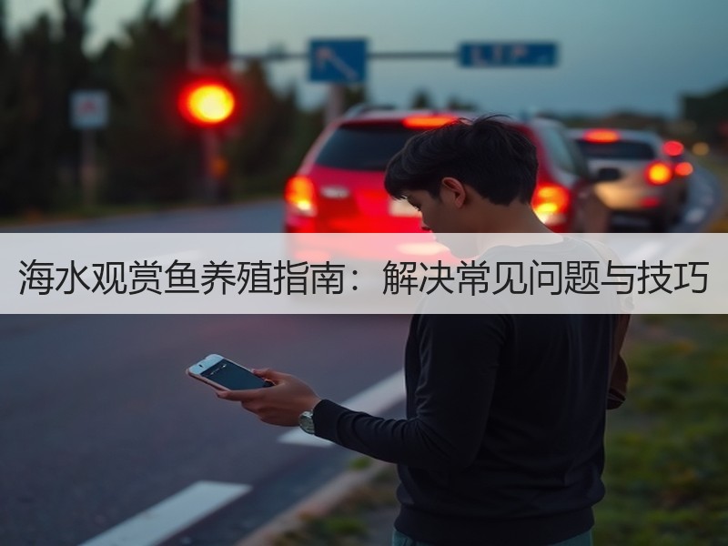 海水观赏鱼养殖指南：解决常见问题与技巧