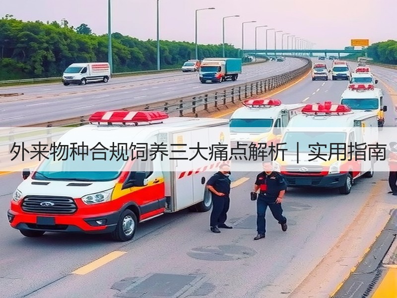 外来物种合规饲养三大痛点解析｜实用指南