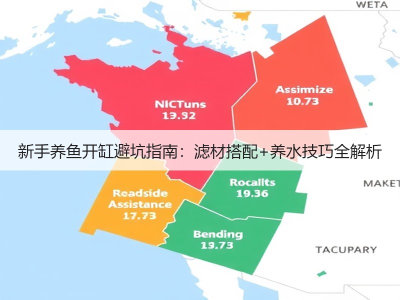新手养鱼开缸避坑指南：滤材搭配+养水技巧