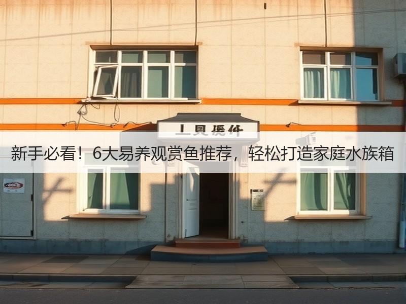新手必看！6大易养观赏鱼推荐，轻松打造家