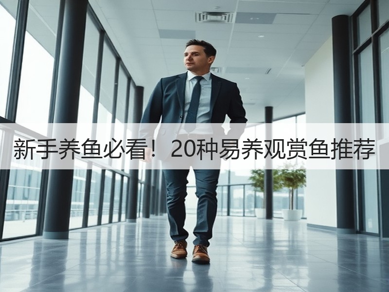 新手养鱼必看！20种易养观赏鱼推荐
