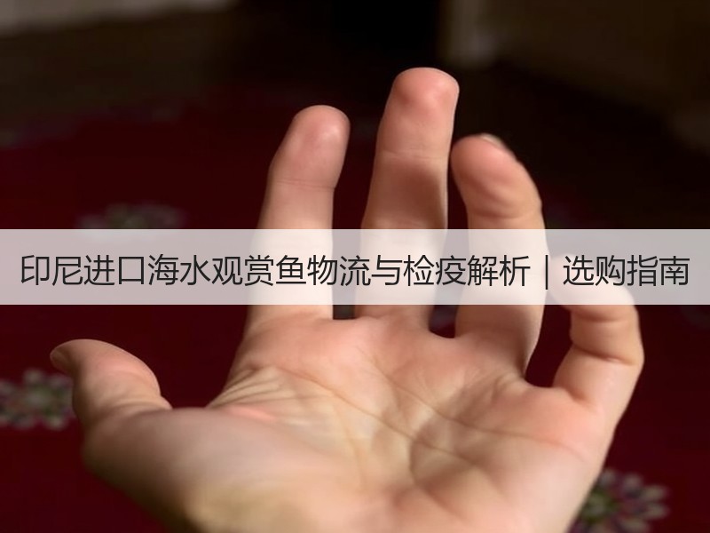 印尼进口海水观赏鱼物流与检疫解析｜选购指
