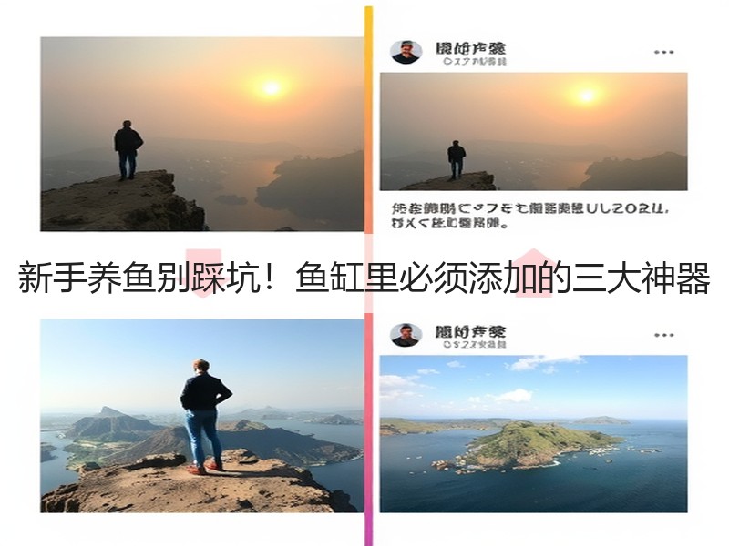 新手养鱼别踩坑！鱼缸里必须添加的三大神器