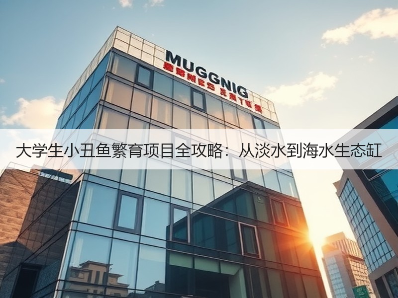 大学生小丑鱼繁育项目全攻略：从淡水到海水