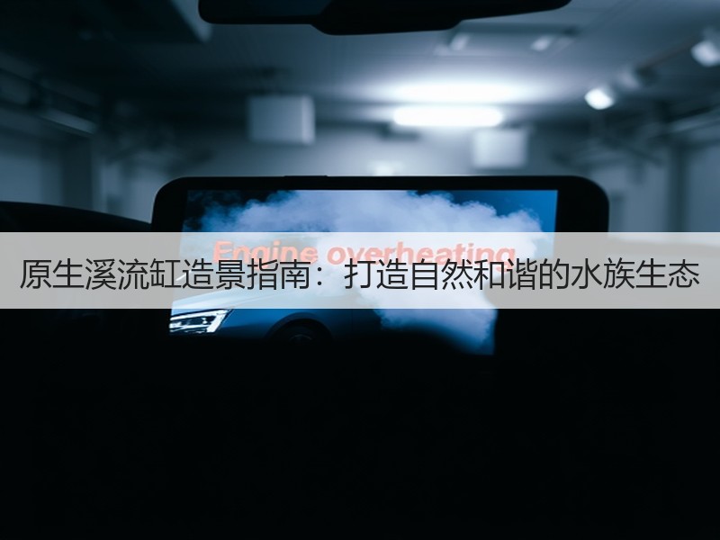 原生溪流缸造景指南：打造自然和谐的水族生