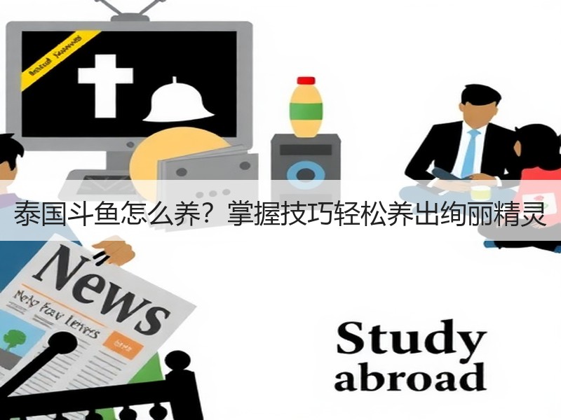 泰国斗鱼怎么养？掌握技巧轻松养出绚丽精灵