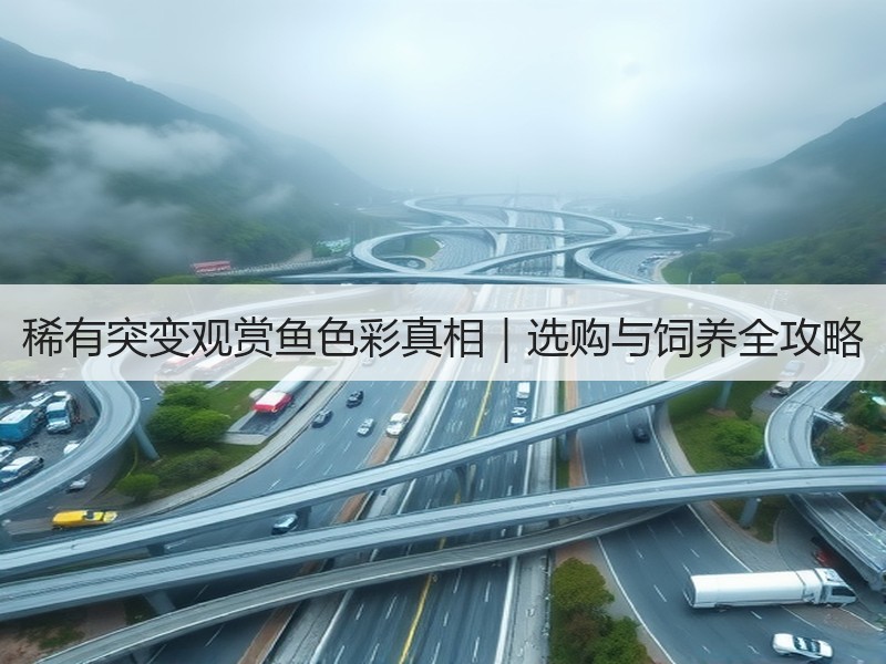 稀有突变观赏鱼色彩真相｜选购与饲养全攻略