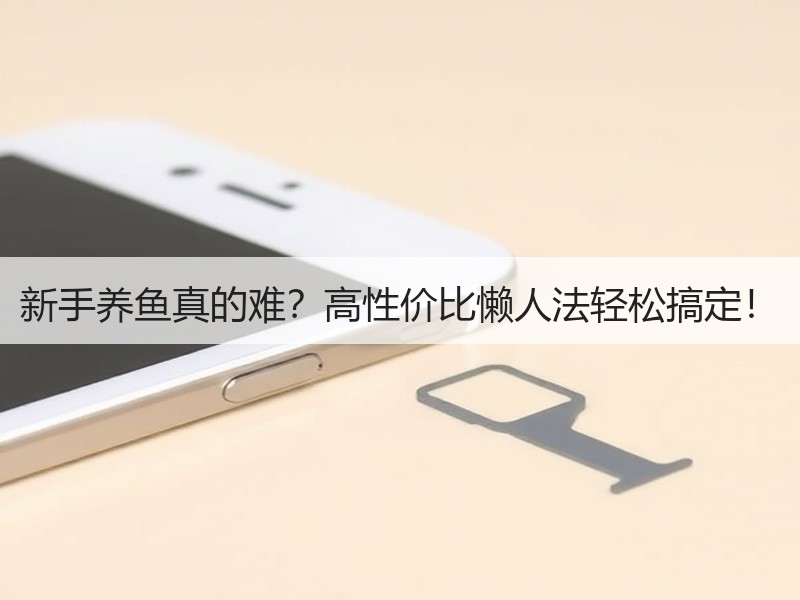 新手养鱼真的难？高性价比懒人法轻松搞定！