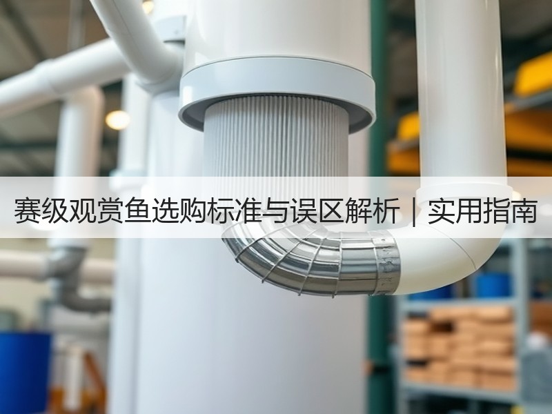 赛级观赏鱼选购标准与误区解析｜实用指南