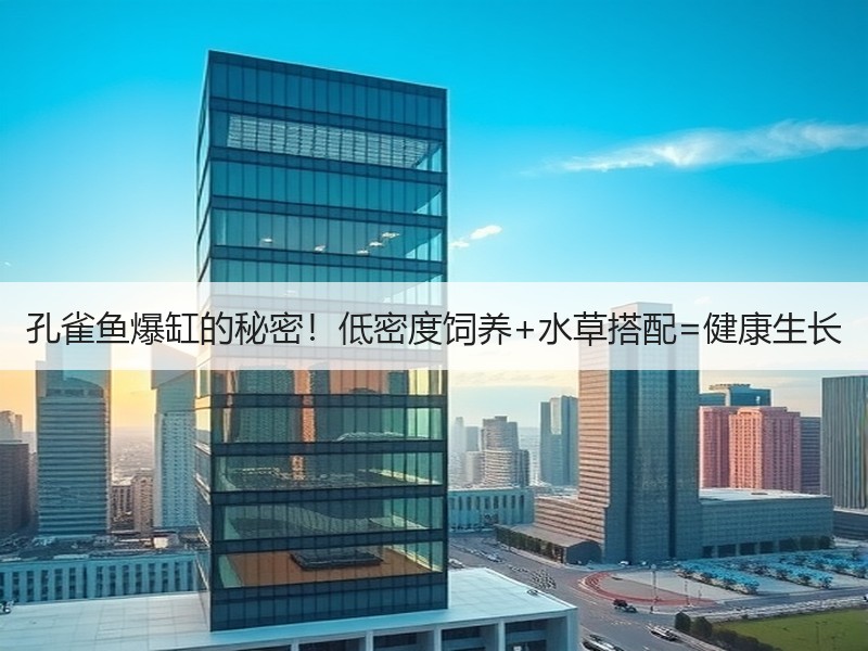 孔雀鱼爆缸的秘密！低密度饲养+水草搭配=