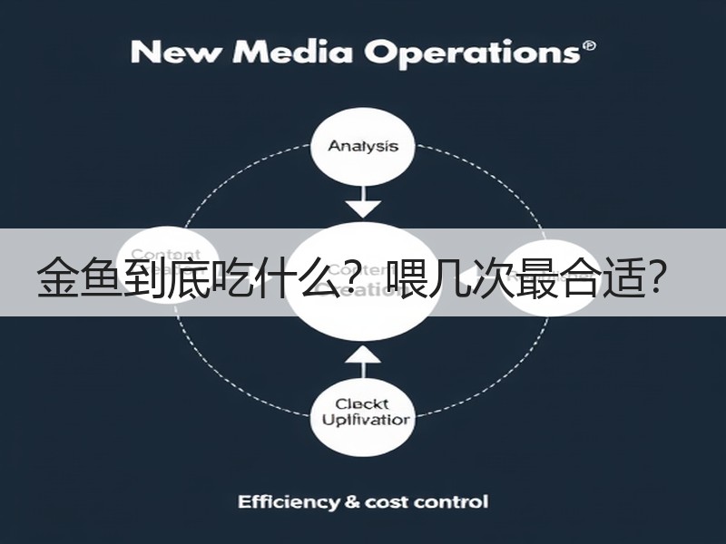 金鱼到底吃什么？喂几次最合适？