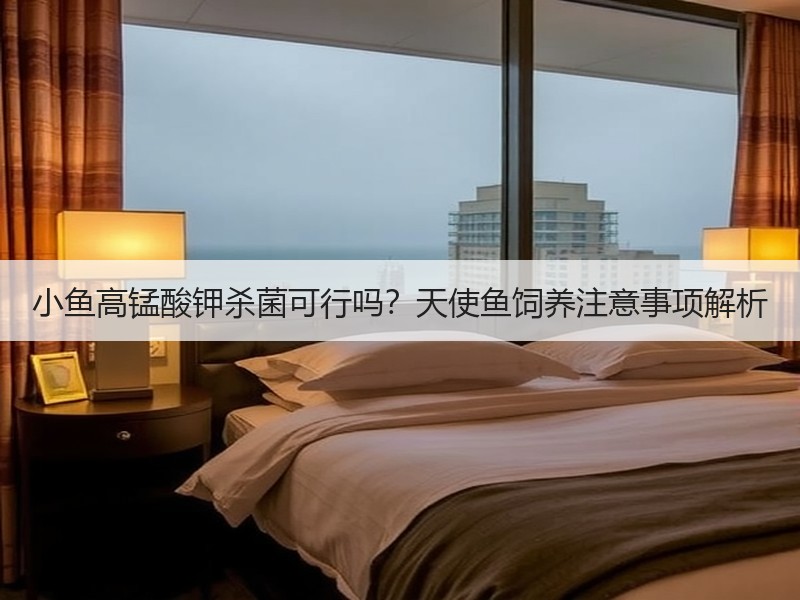 小鱼高锰酸钾杀菌可行吗？天使鱼饲养注意事