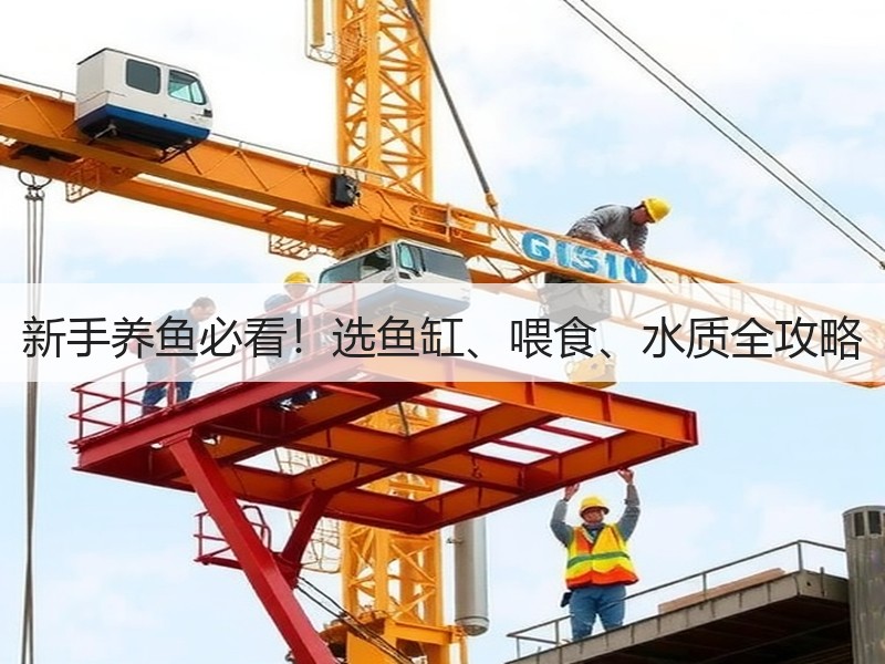新手养鱼必看！选鱼缸、喂食、水质全攻略