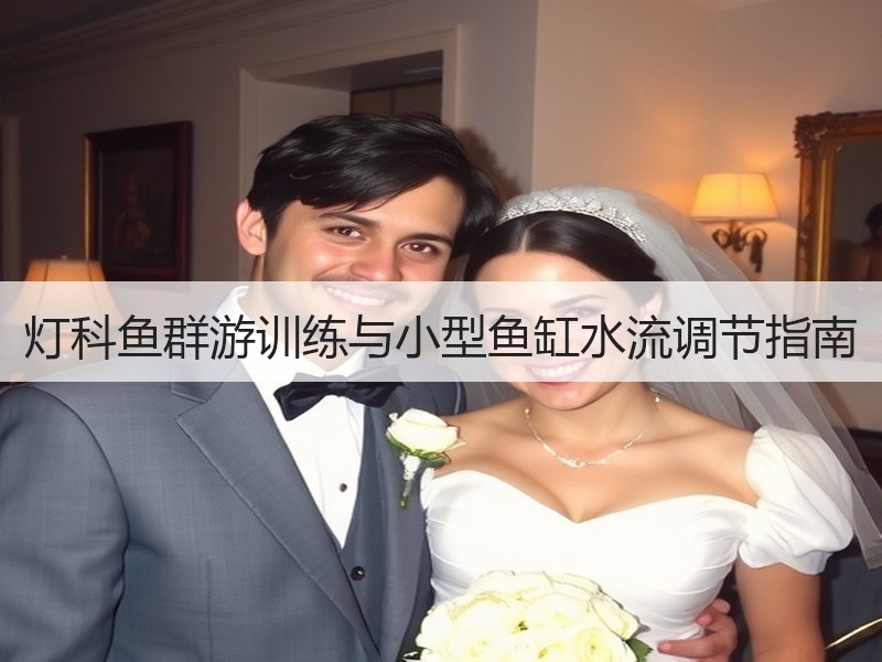 灯科鱼群游训练与小型鱼缸水流调节指南