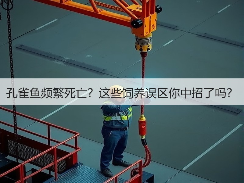 孔雀鱼频繁死亡？这些饲养误区你中招了吗？