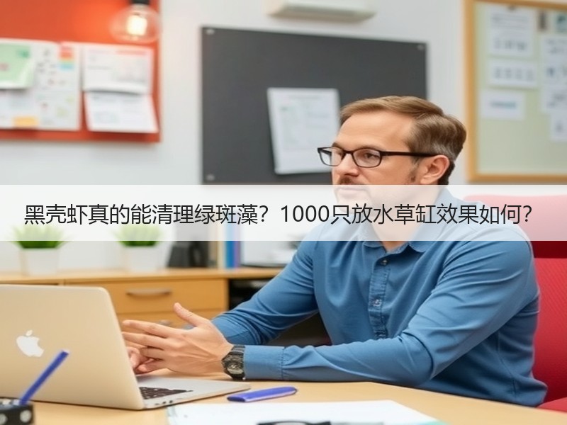 黑壳虾真的能清理绿斑藻？1000只放水草