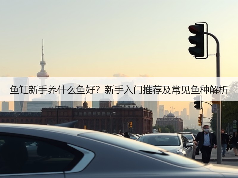 鱼缸新手养什么鱼好？新手入门推荐及常见鱼