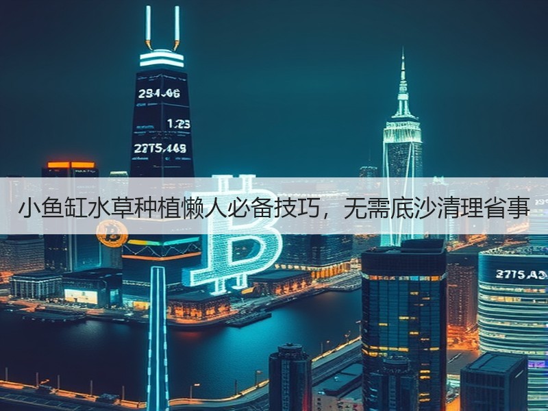 小鱼缸水草种植懒人必备技巧，无需底沙清理