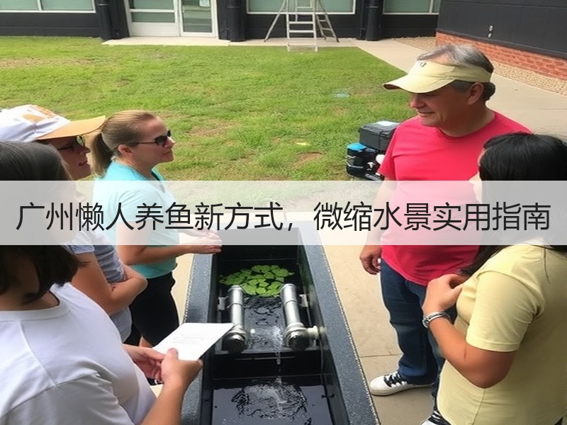 广州懒人养鱼新方式，微缩水景实用指南