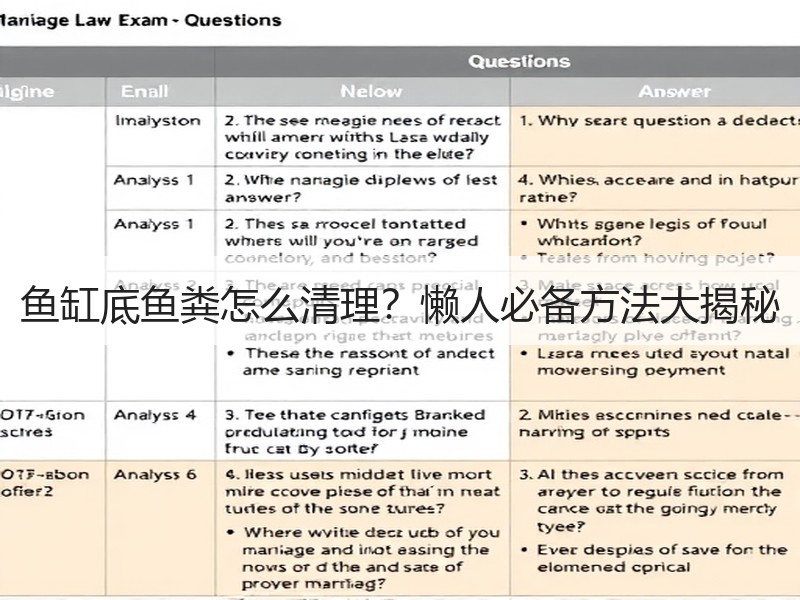 鱼缸底鱼粪怎么清理？懒人必备方法大揭秘
