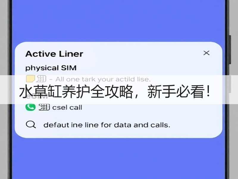 水草缸养护全攻略，新手必看！