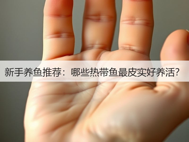 新手养鱼推荐：哪些热带鱼最皮实好养活？