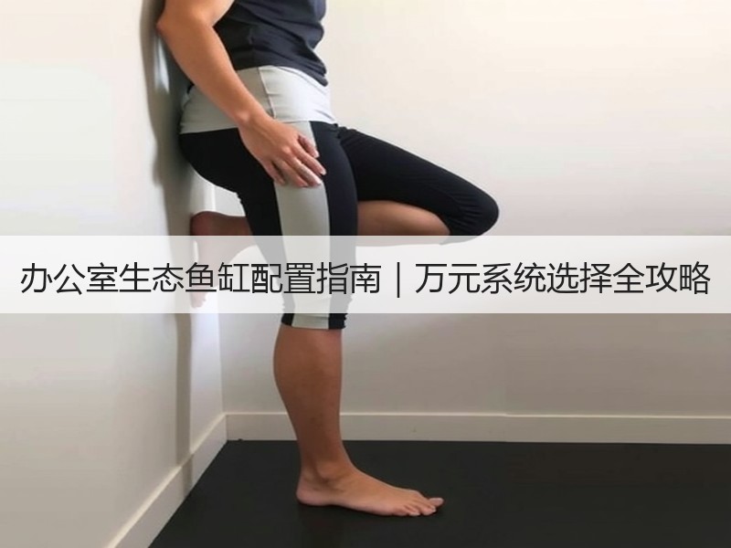 办公室生态鱼缸配置指南｜万元系统选择全攻