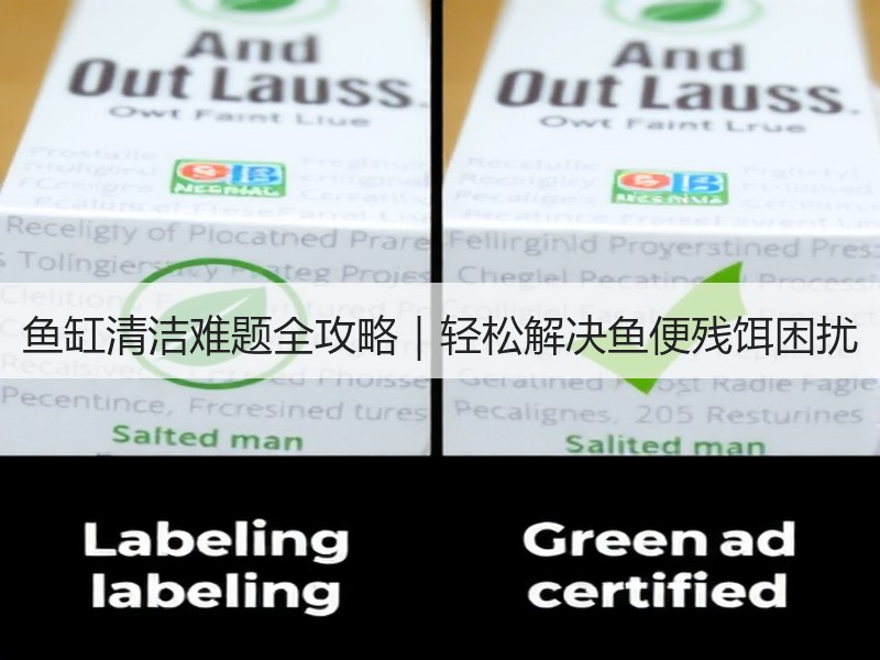 鱼缸清洁难题全攻略｜轻松解决鱼便残饵困扰