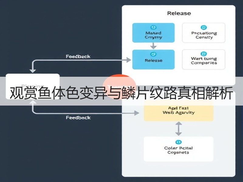 观赏鱼体色变异与鳞片纹路真相解析