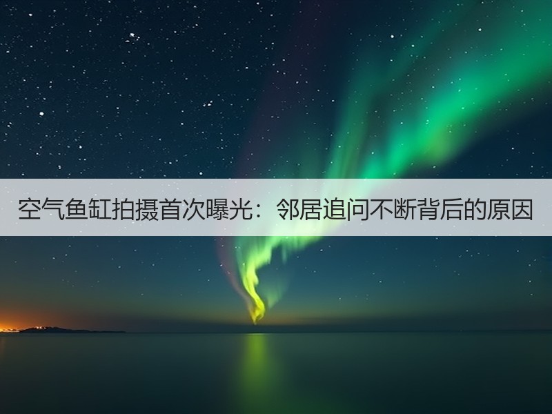 空气鱼缸拍摄首次曝光：邻居追问不断背后的