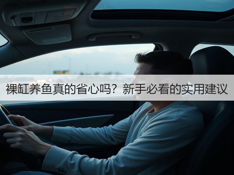 裸缸养鱼真的省心吗？新手必看的实用建议