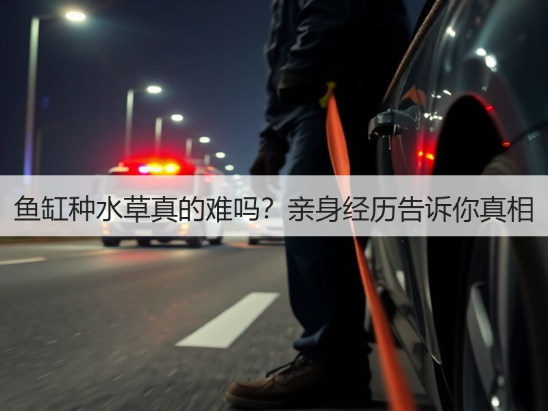 鱼缸种水草真的难吗？亲身经历告诉你真相
