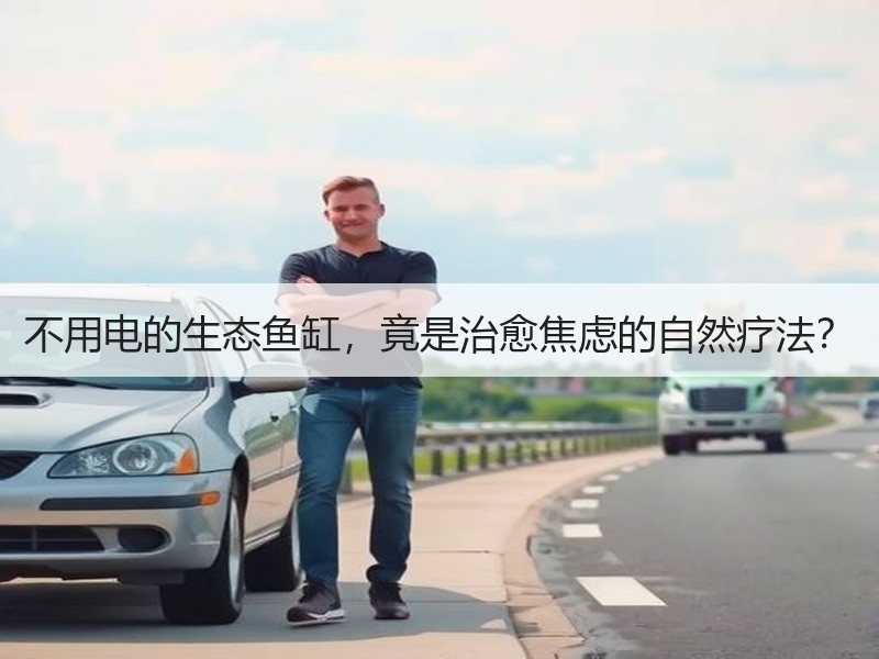不用电的生态鱼缸，竟是治愈焦虑的自然疗法