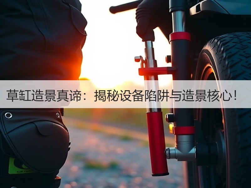 草缸造景真谛：揭秘设备陷阱与造景核心！