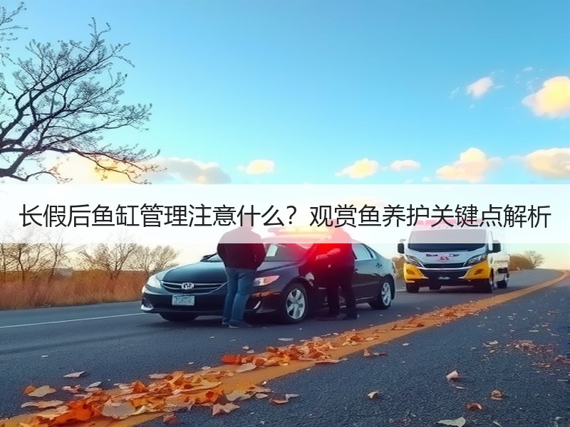 长假后鱼缸管理注意什么？观赏鱼养护关键点