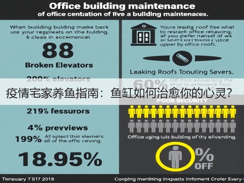 疫情宅家养鱼指南：鱼缸如何治愈你的心灵？