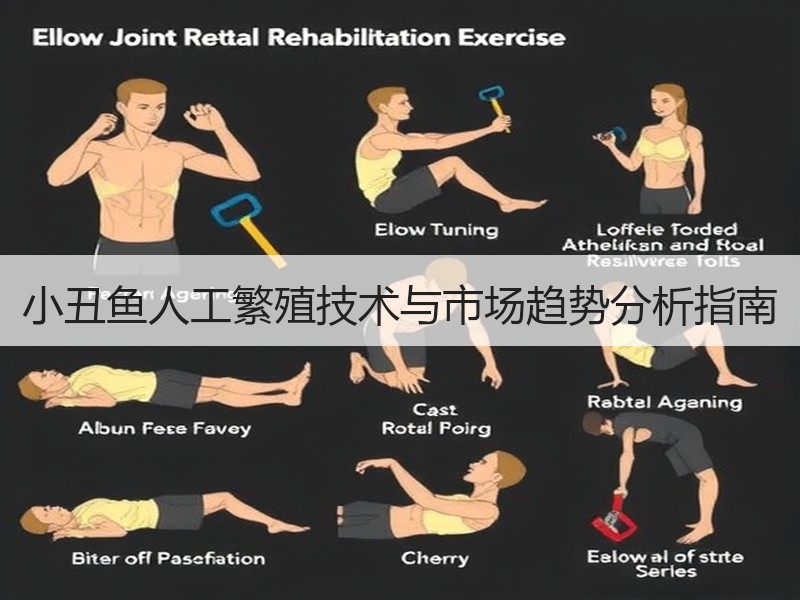 小丑鱼人工繁殖技术与市场趋势分析指南
