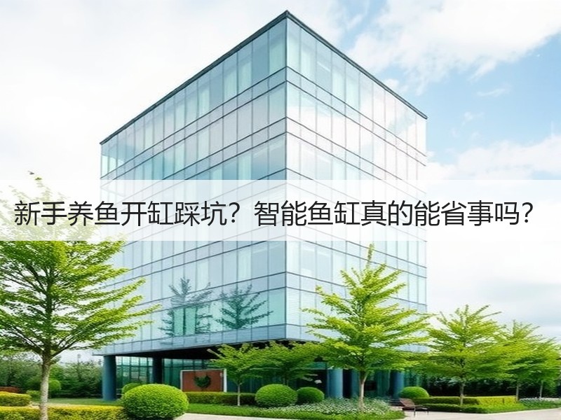 新手养鱼开缸踩坑？智能鱼缸真的能省事吗？
