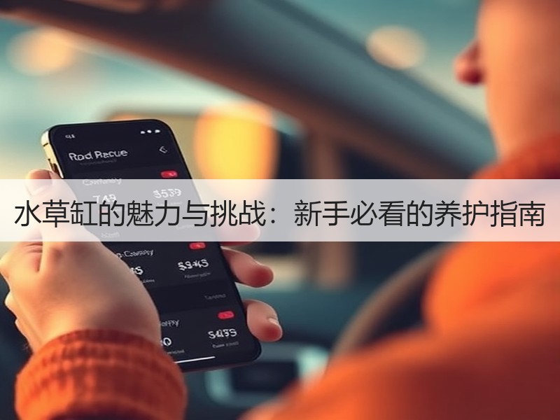 水草缸的魅力与挑战：新手必看的养护指南