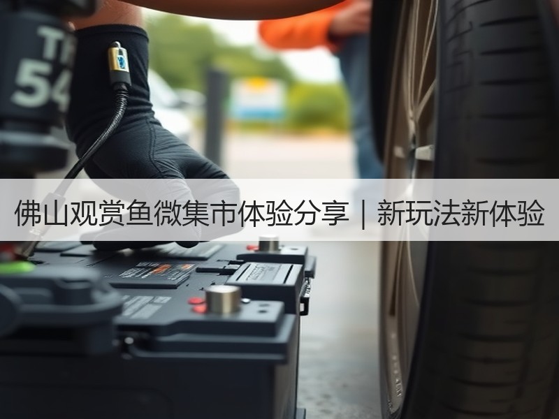 佛山观赏鱼微集市体验分享｜新玩法新体验