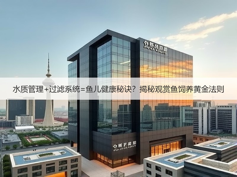 水质管理+过滤系统=鱼儿健康秘诀？揭秘观